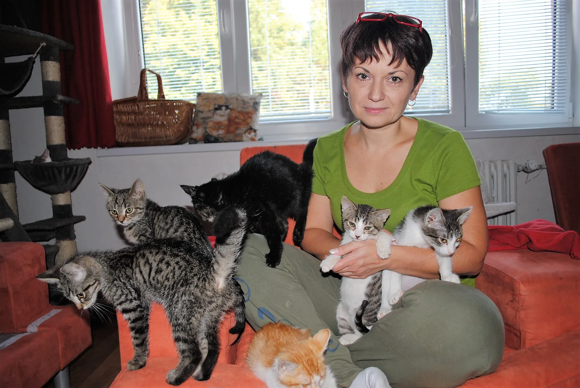 Zachránila tisíce opuštěných koček