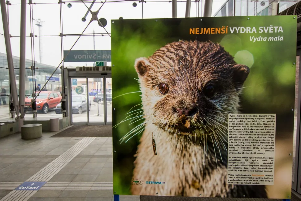 Výstava Zoo Ostrava na vybraných nádražích v kraji