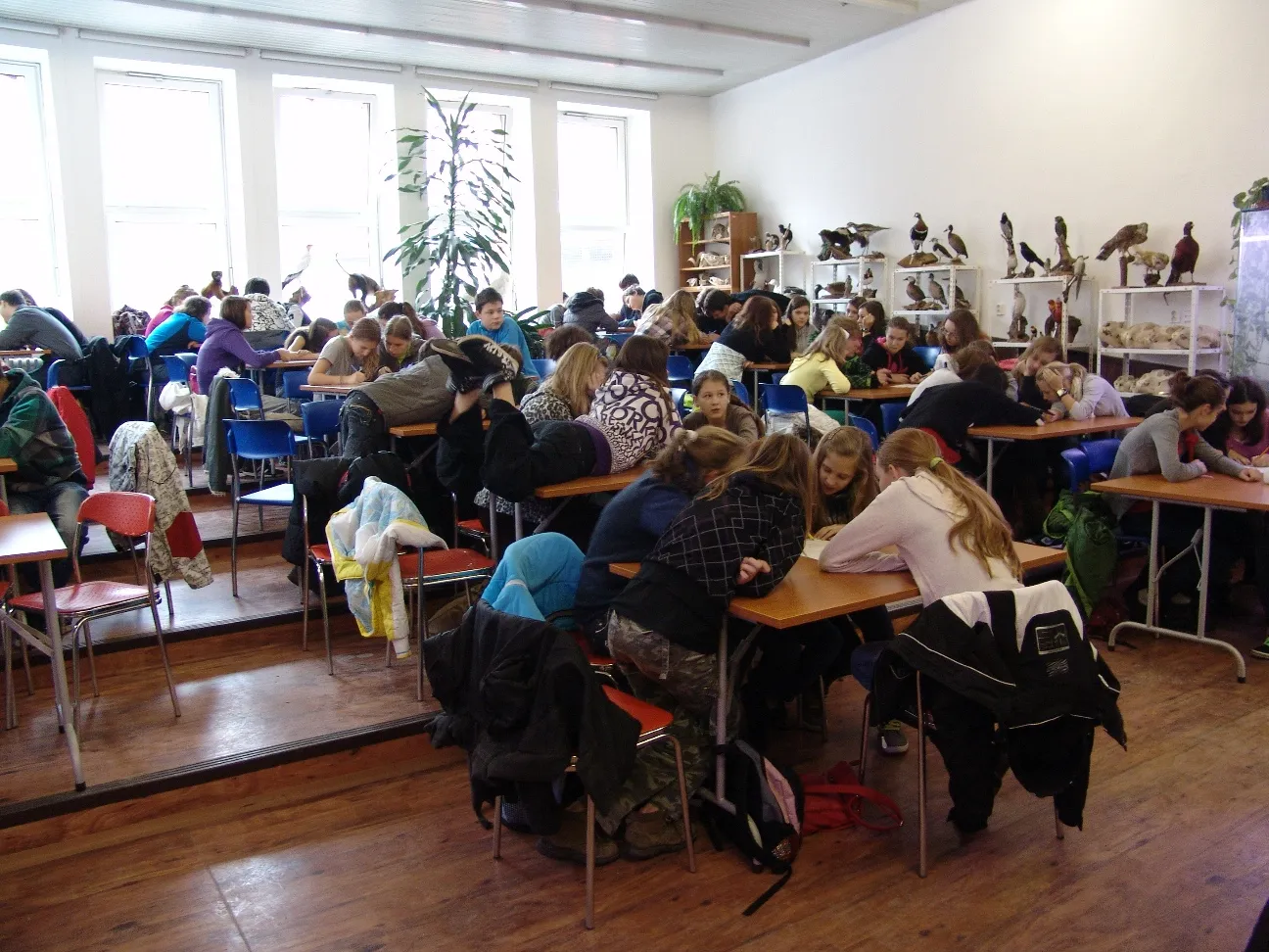 Pozvánka na přednášku v Zoo Ostrava: Cesty koření a užitkových rostlin Starého světa