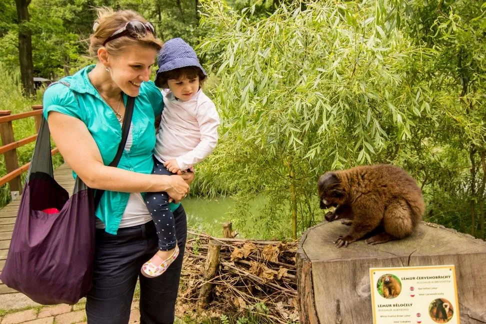Zoo hledá dobrovolníky na prázdninovou výpomoc