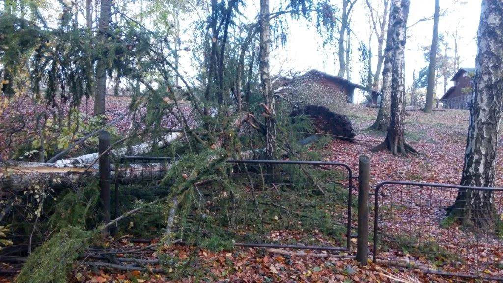 Co nedělní vichřice způsobila v Zoo Ostrava?