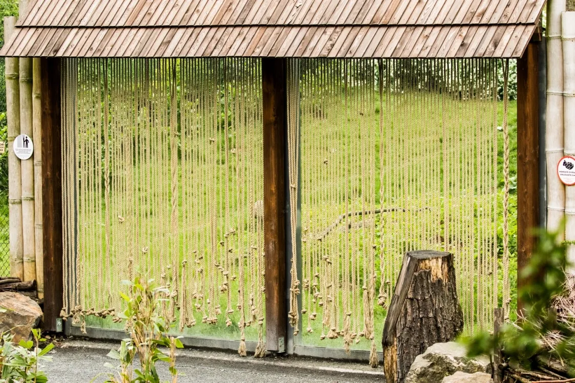 Biodiverzita v zoo: Ochrana ptáků proti úrazům
