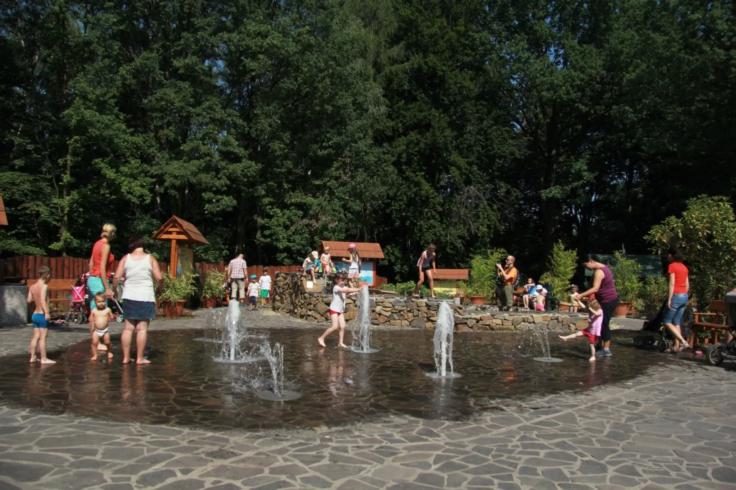 Letní osvěžení v Zoo Ostrava