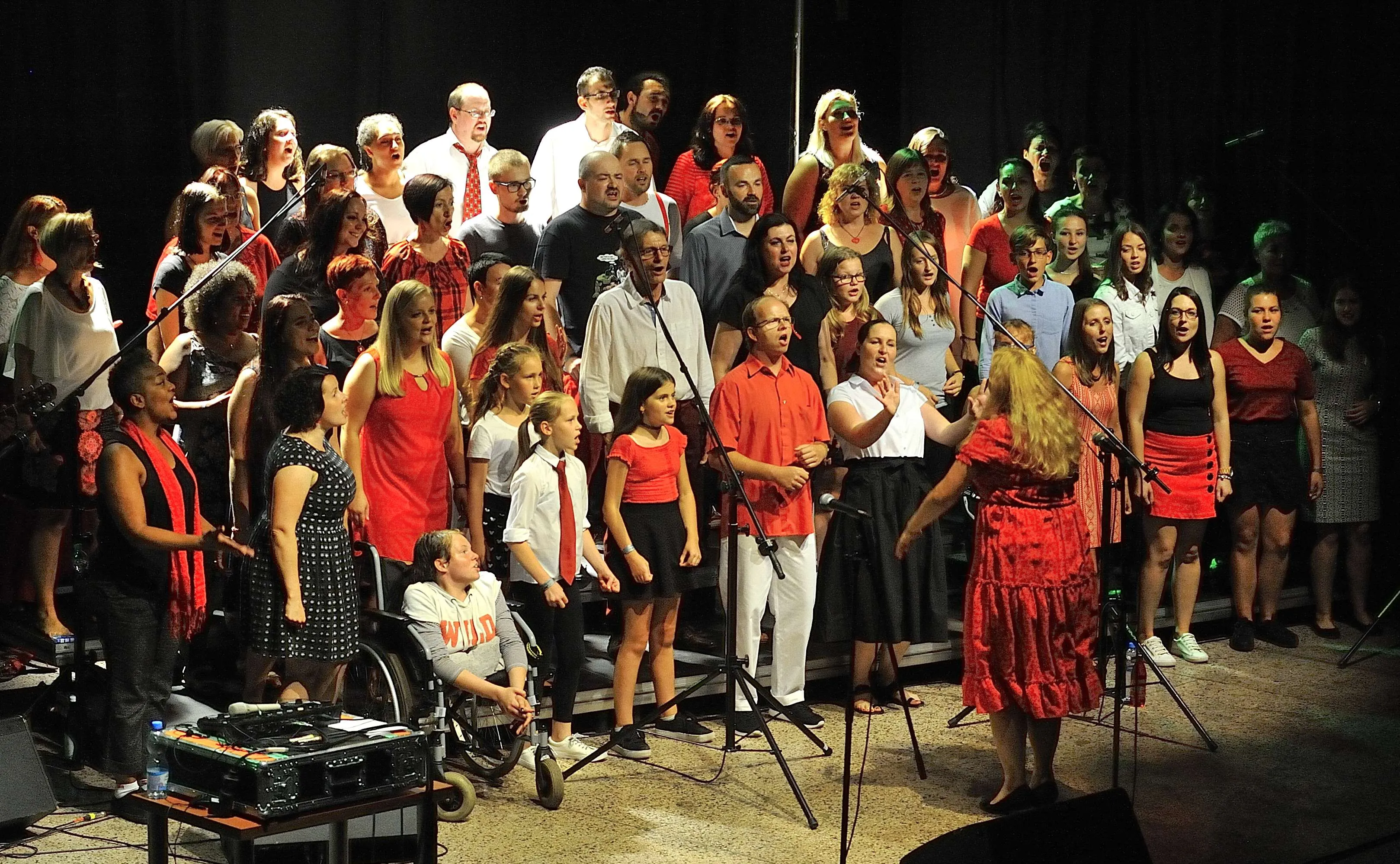 Ostrava objevuje gospel, má vděčné publikum i sbory