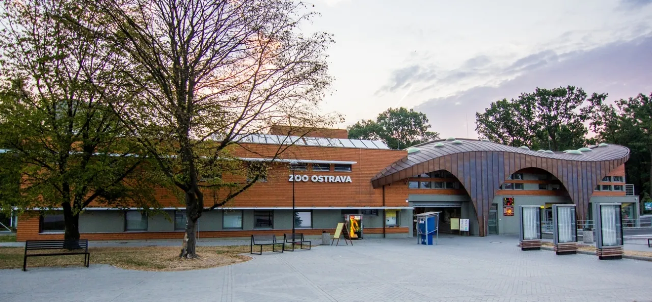 Pozvánka na přednášku v Zoo Ostrava: Co přinesl rok 2018?