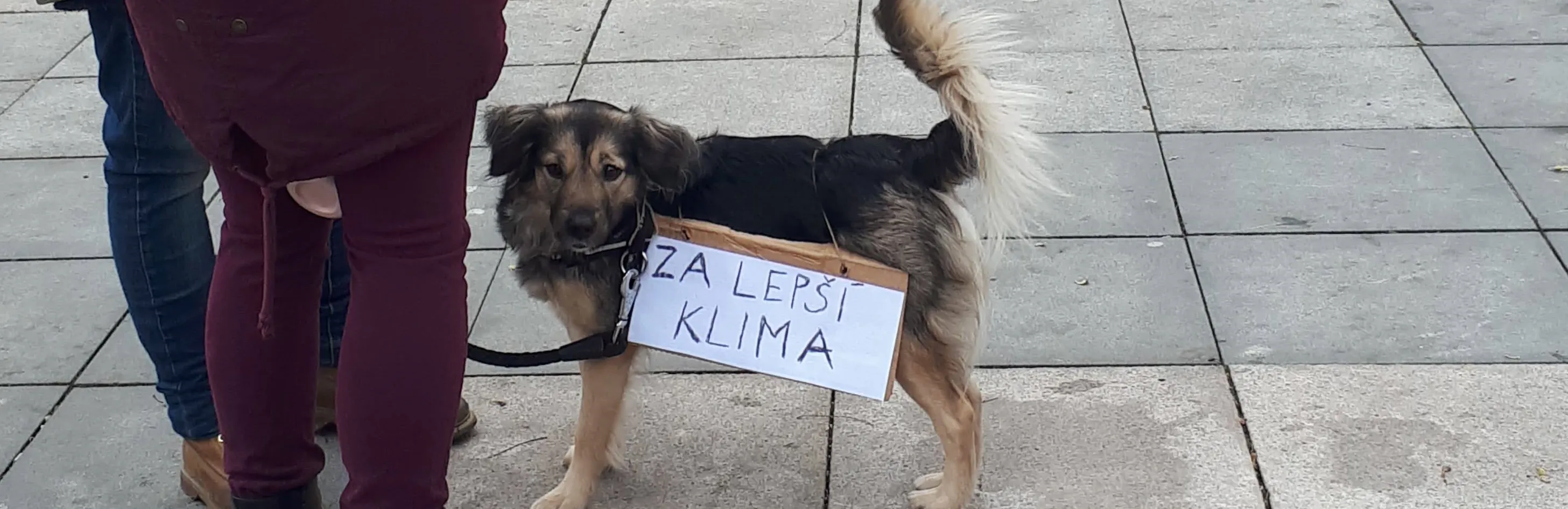 Štafeta za klima pokračuje. Studenti s rozvolňujícími opatřeními vyšli do ulic, tentokrát v Ostravě