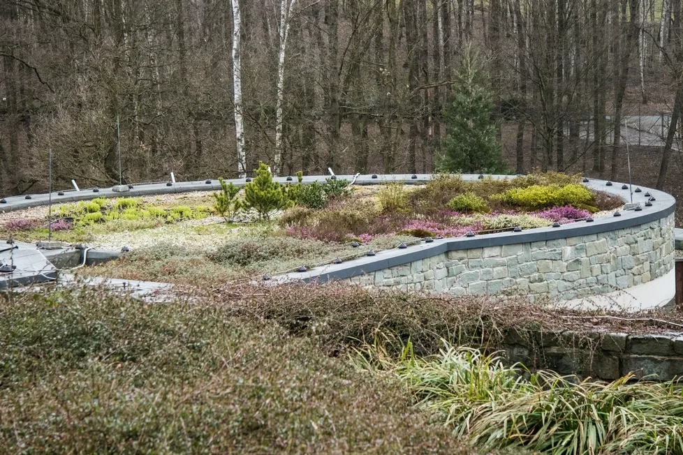 Včelí pastva, botanická zajímavost Zoo Ostrava