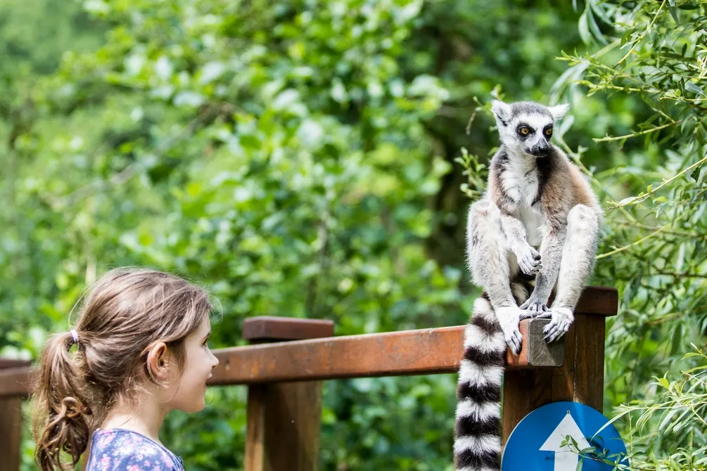 Velké poděkování ze Zoo Ostrava
