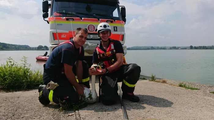 Moravskoslezští hasiči zachraňovali kunu, labuť a srnce