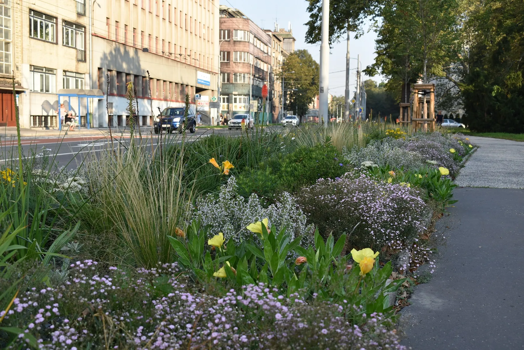 OSTRAVSKÉ ULICE OŽIVÍ TRVALKOVÉ ZÁHONY