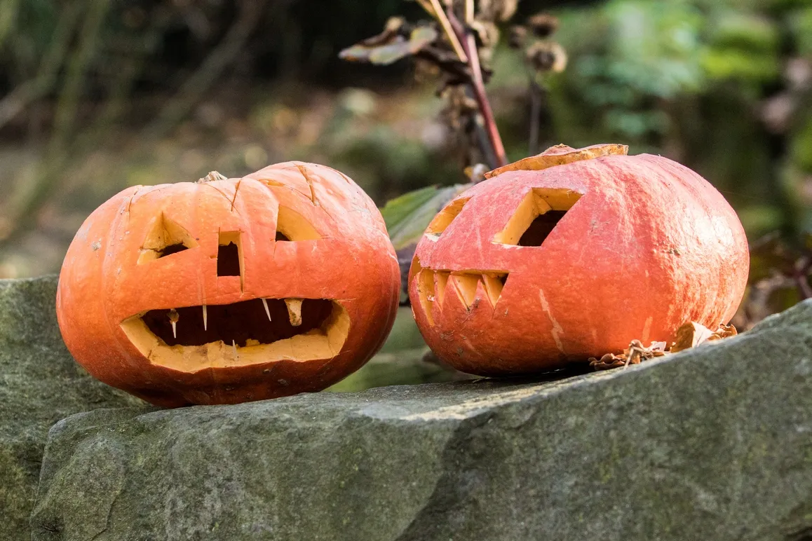 Halloween a lampionový průvod v Zoo Ostrava
