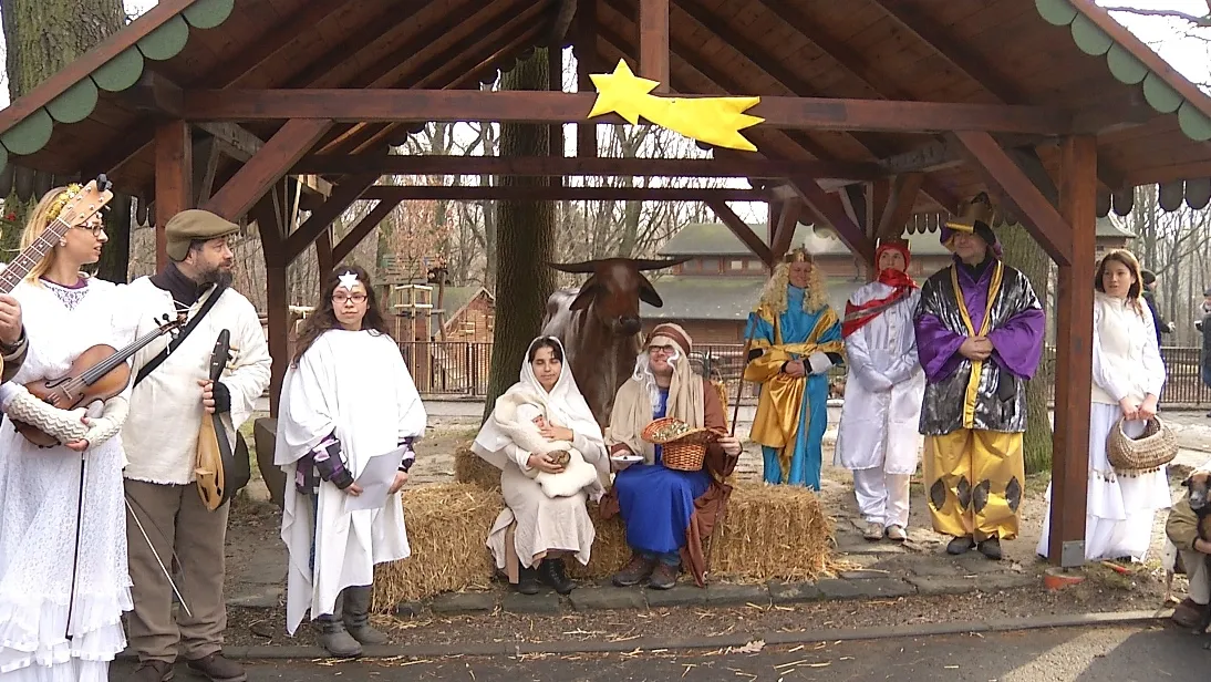 Advent v Zoo Ostrava