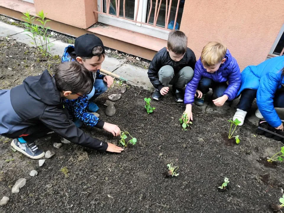 V Ostravě plánují komunitní Montessori  zahradu se zelenou učeb