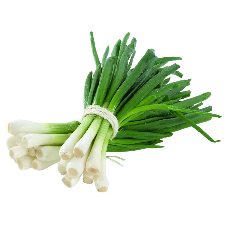Recepty plné vitamínů - sezóna jarní cibulky a ředkviček právě odstartovala!