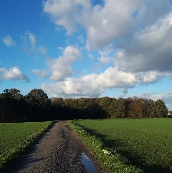 Ostravská příroda se zahaluje do podzimních barev