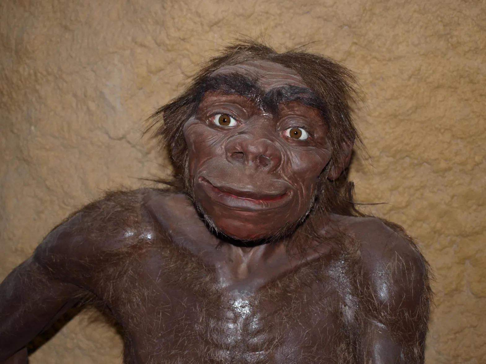 Darwinův den aneb Den otce evoluce