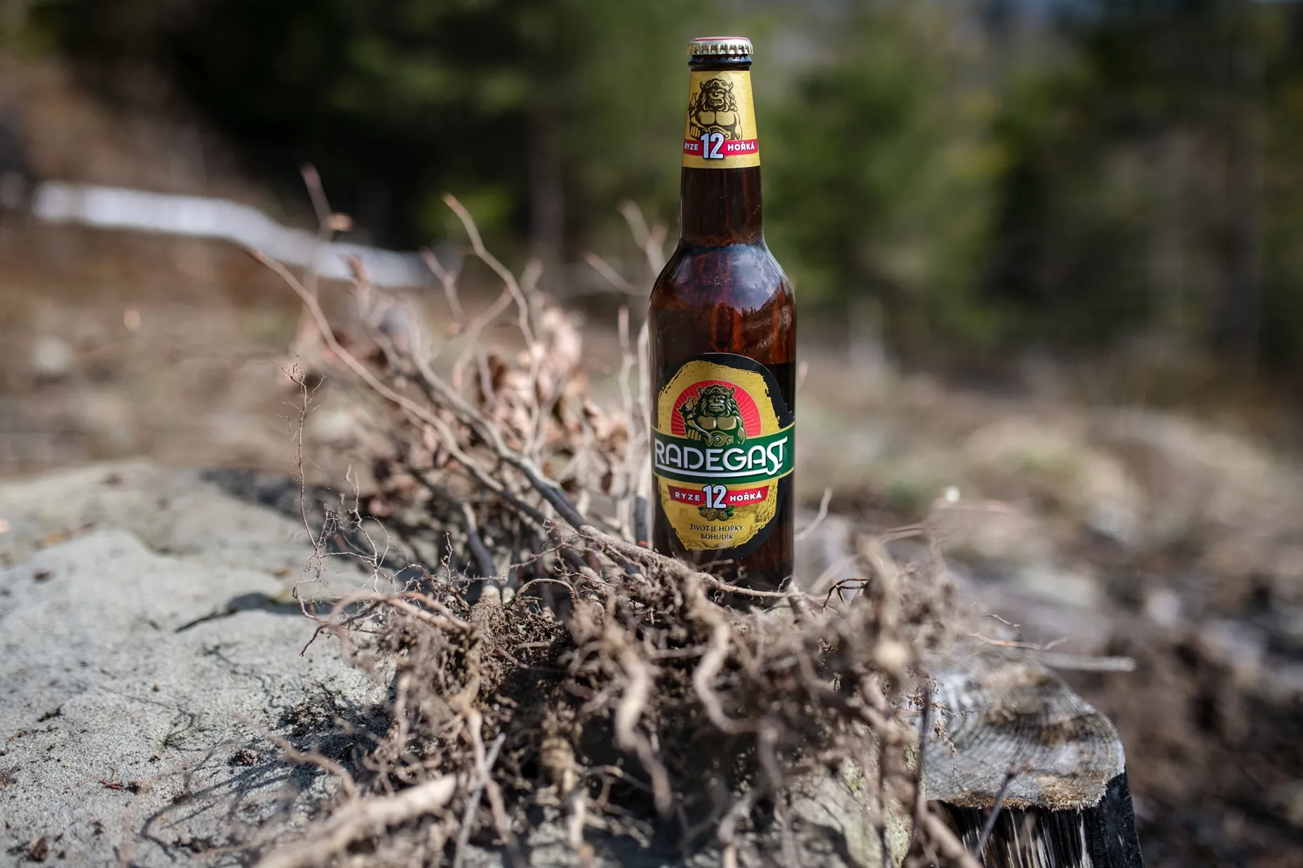 Radegast podpořil výsadbu 7 000 stromů v Beskydech