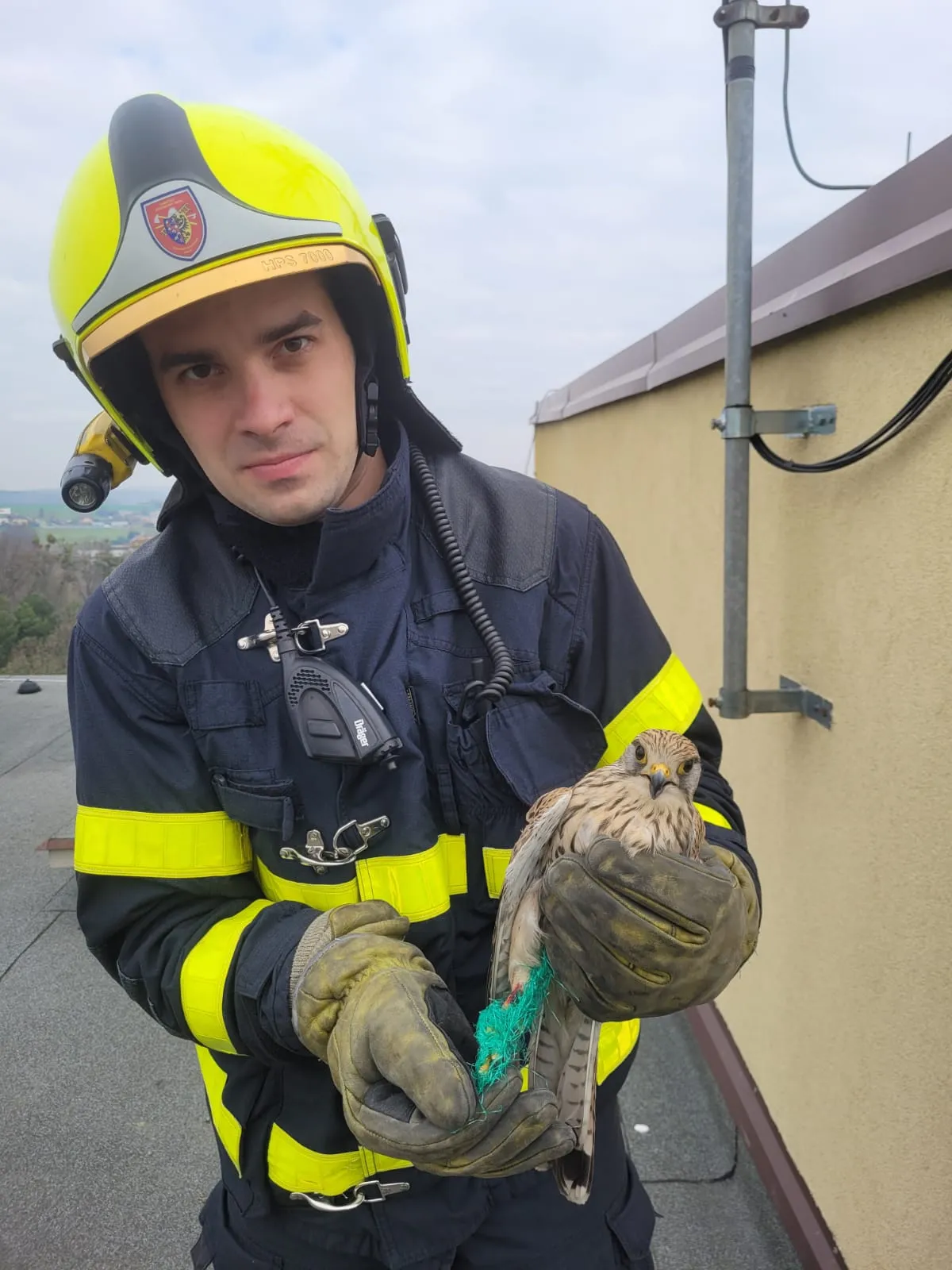 Záchrana poštolky z antény v Ostravě-Porubě