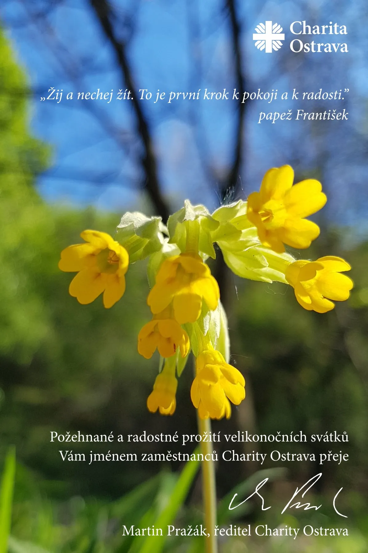Charita Ostrava informuje