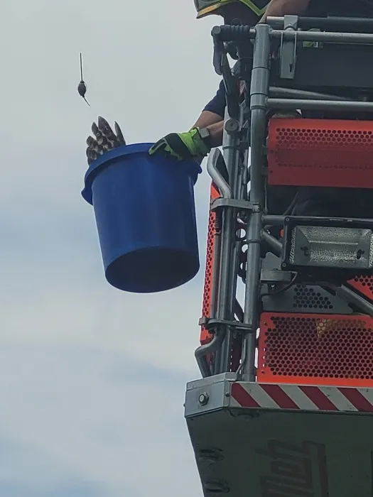 Hasiči zachraňovali na Opavsku puštíka, „uloveného“ rybáři