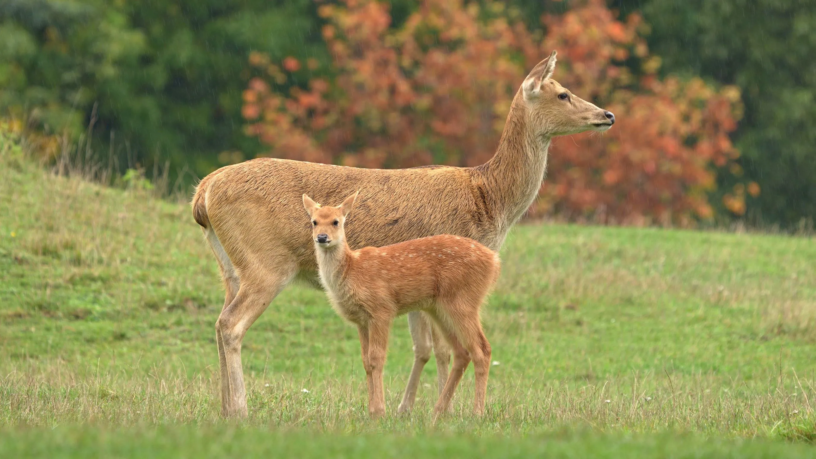 O hodinu déle v Zoo Ostrava