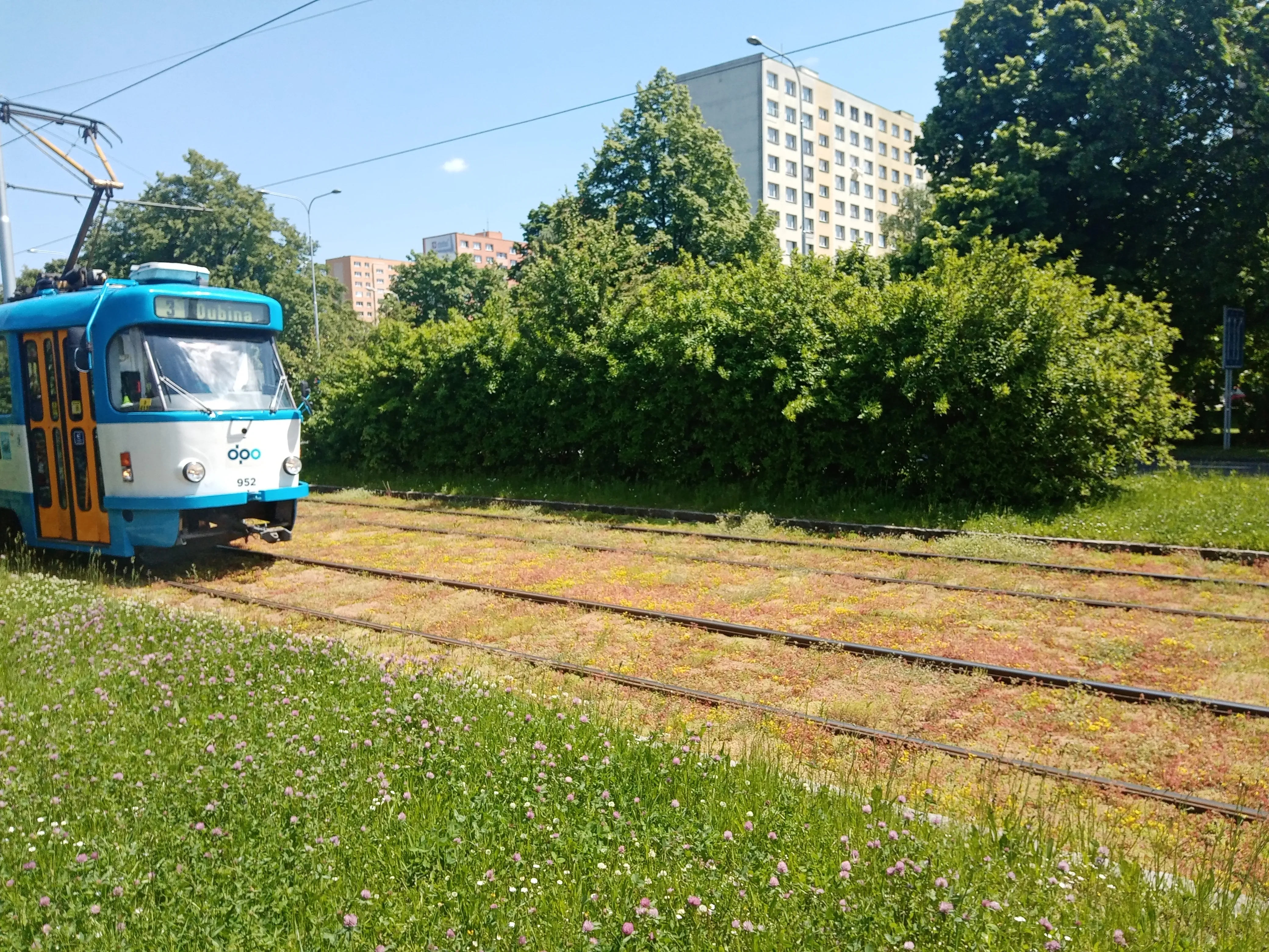 Ostrava zahájila v ulici Horní inovativní ozelenění tramvajové trati