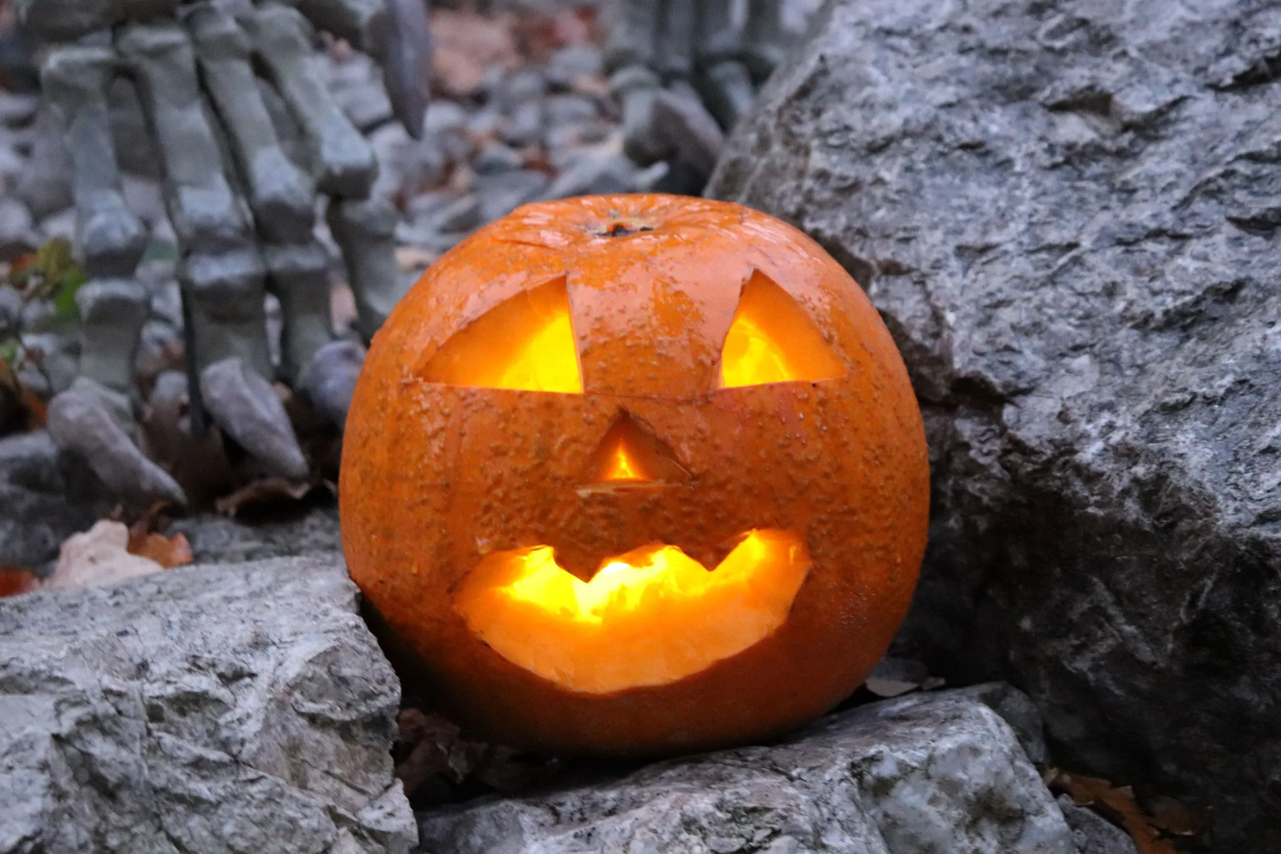 Halloween a lampionový průvod v Zoo Ostrava