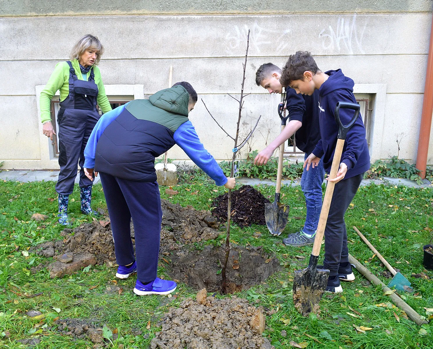 Nadace ČEZ vyhlašuje grant na výsadbu stromů,  o podporu můžou žádat obce, školy, hasiči i skauti