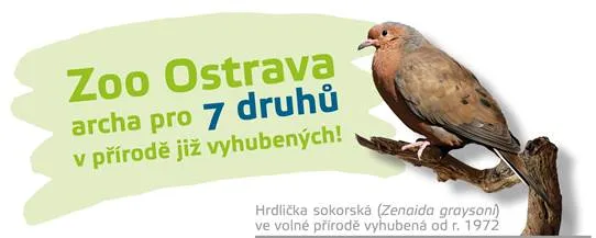 Sobota 1. dubna v Zoo Ostrava: Den ptactva a zahájení komentovaných prohlídek skleníků