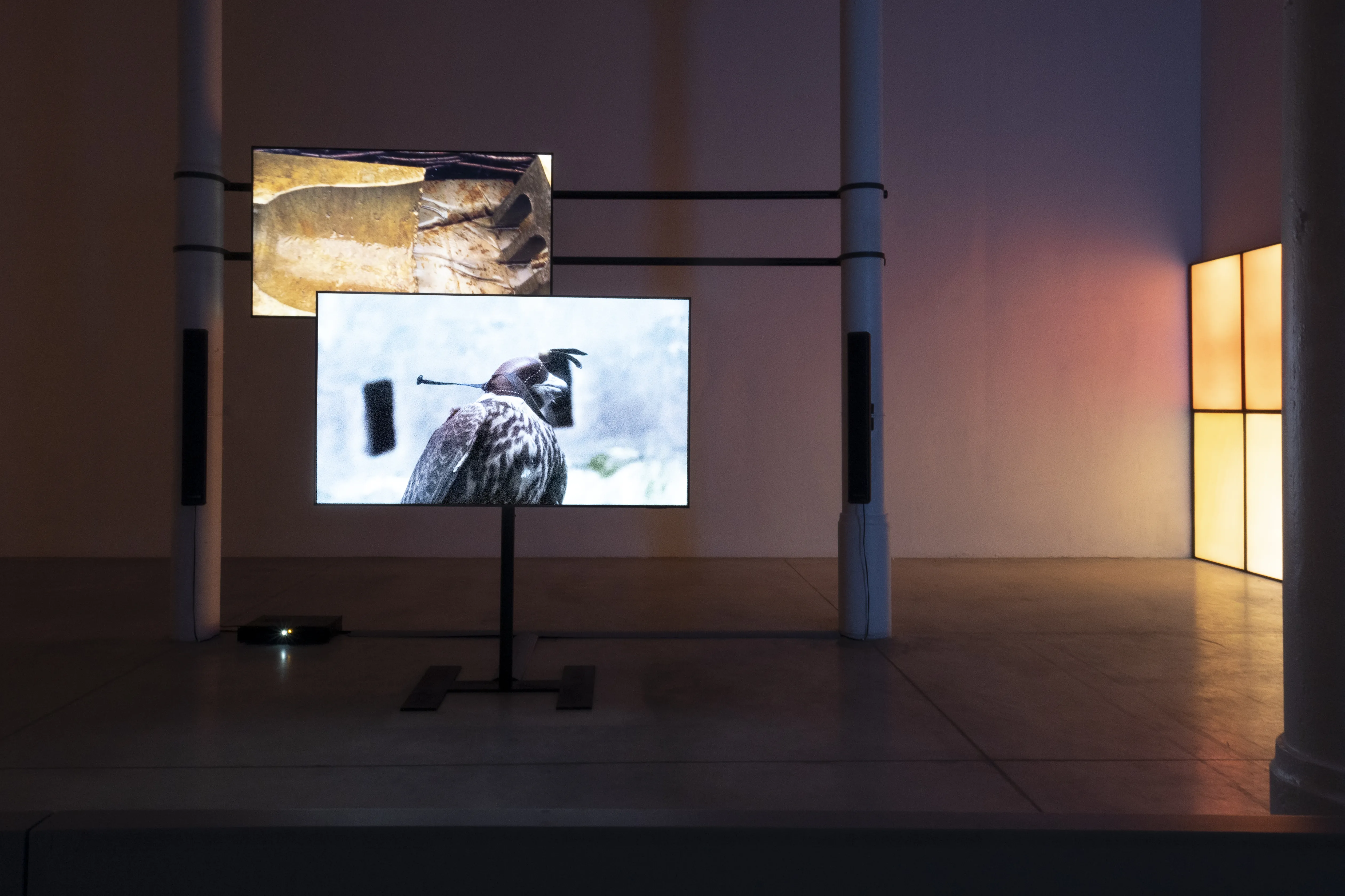 Britský umělec Dan Walwin přináší do ostravské galerie PLATO napětí i Úlevu