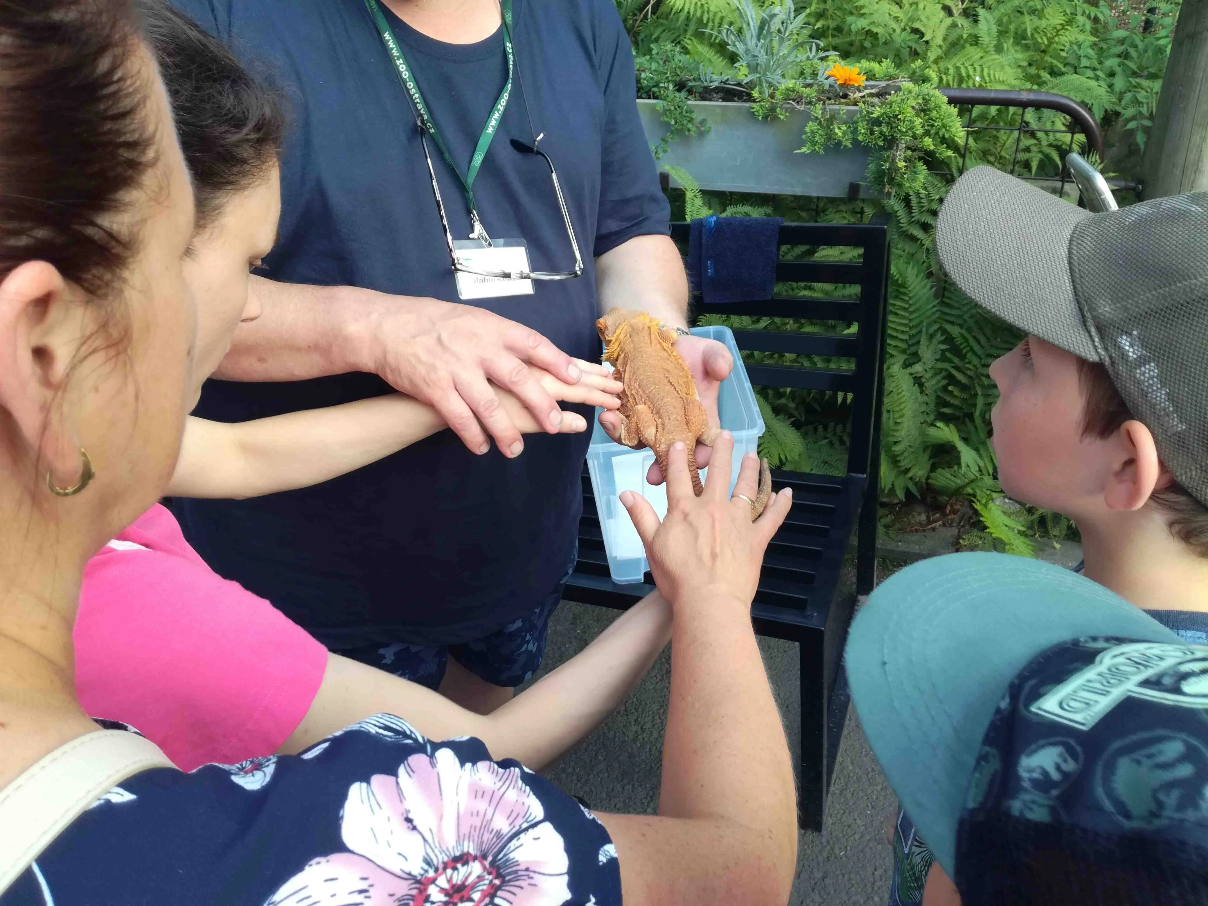 V Zoo Ostrava proběhla Noc snů – speciální akce pro handicapované děti