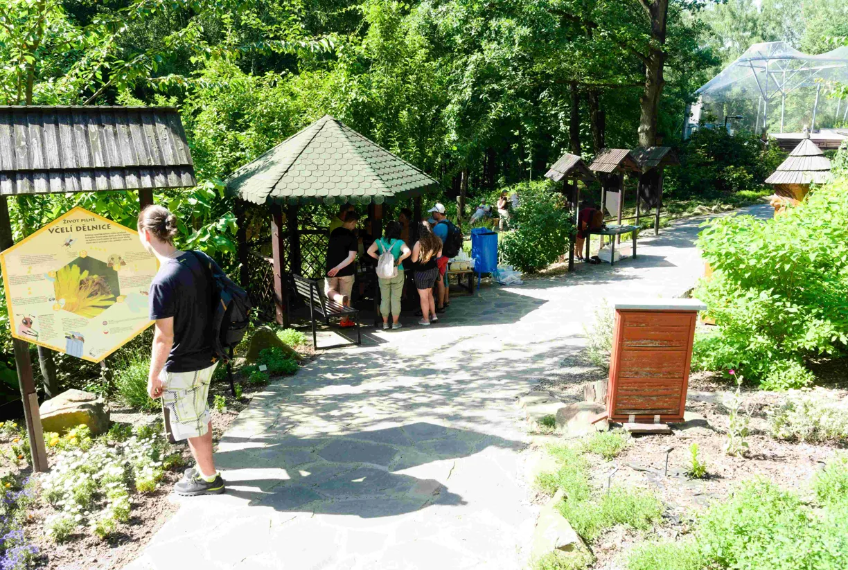 Den pro včely a medobraní v Zoo Ostrava