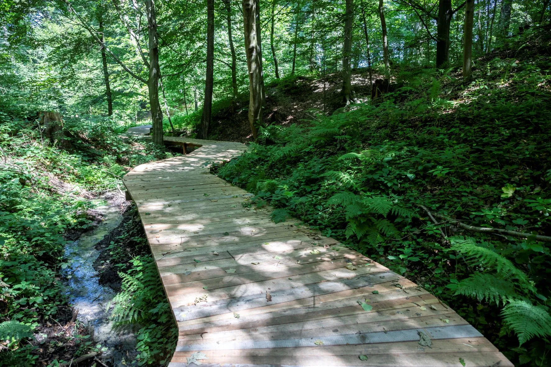 Cesta vody a park nad rybníkem zatraktivní část Bělskéh
