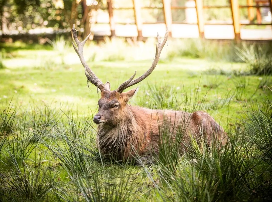 Zoo Ostrava vyhlašuje sběračskou soutěž Šípkový podzim