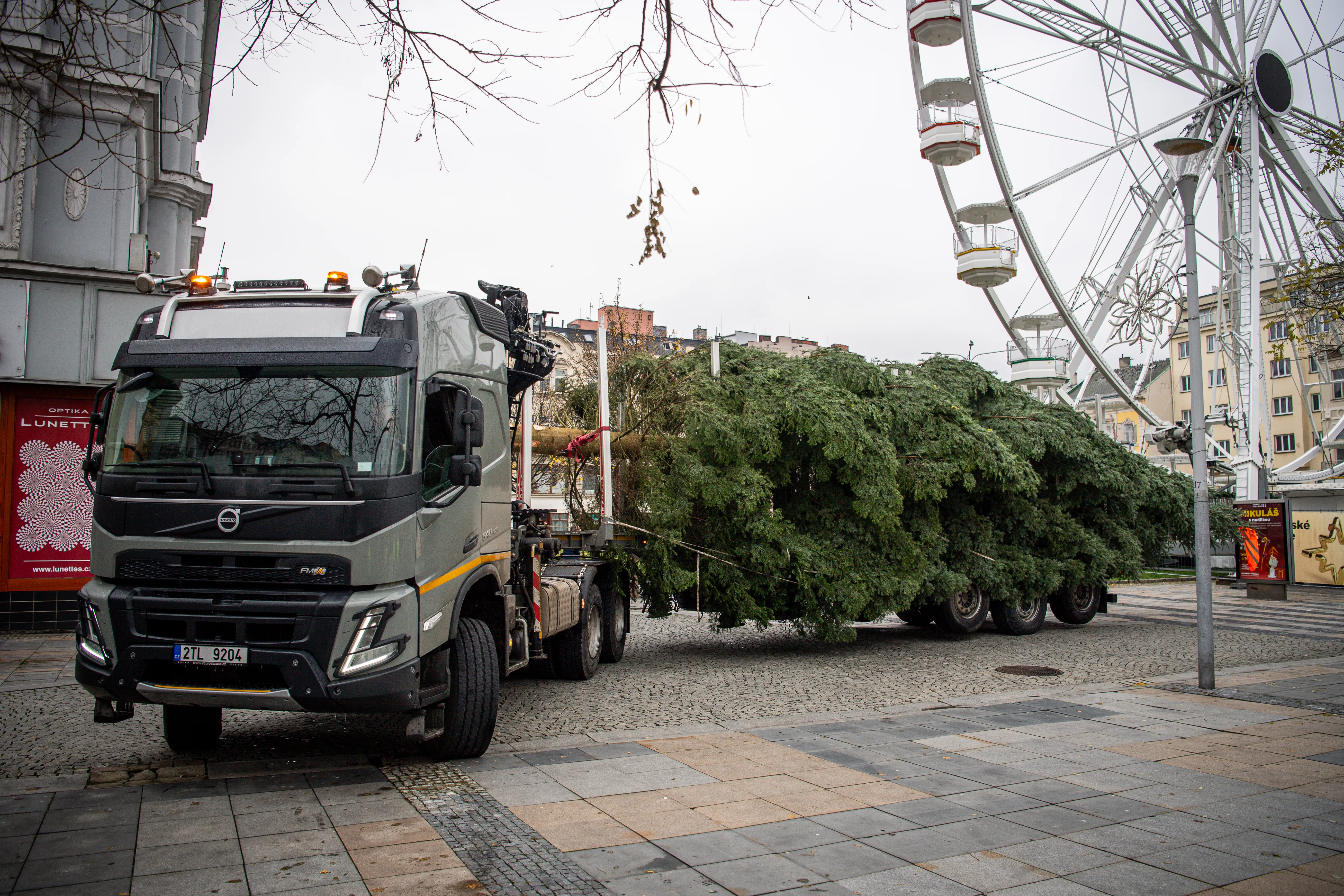 Město zajistí svoz vánočních stromků od kontejnerových stání v blízkosti sídlištní a bytové zástavby