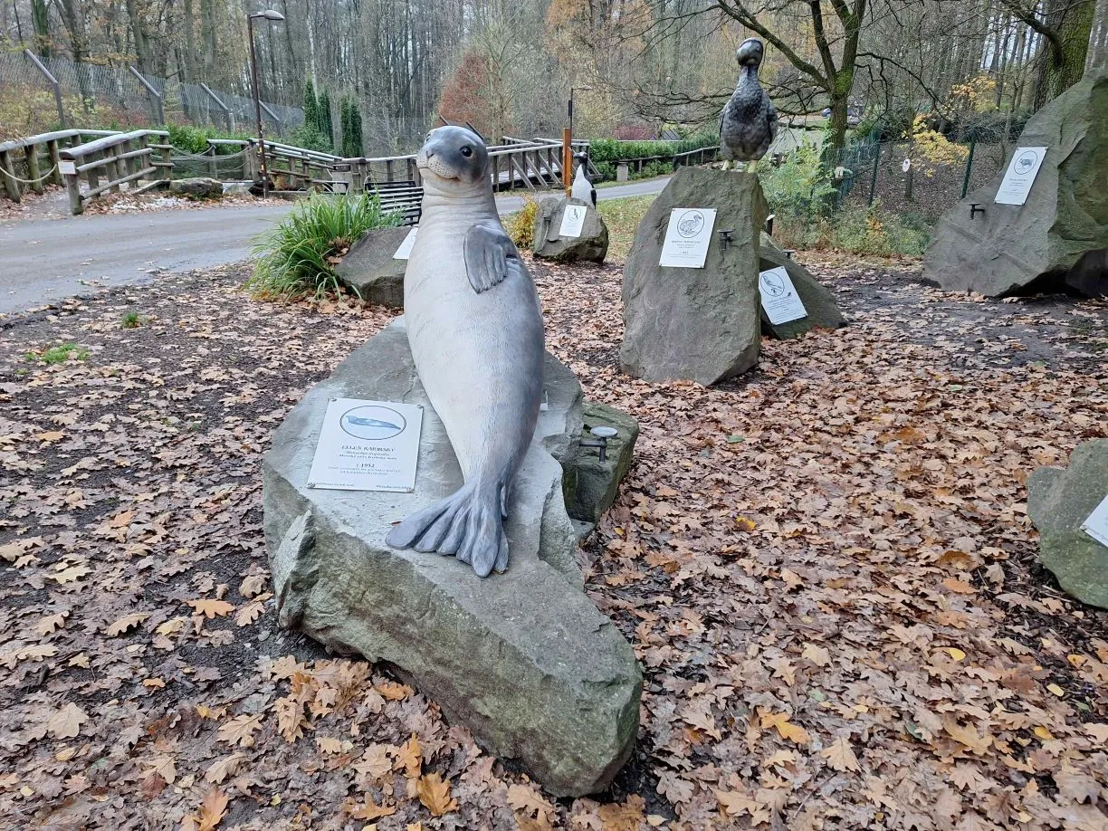 Vyhubený tuleň karibský je nově k vidění v Zoo Ostrava