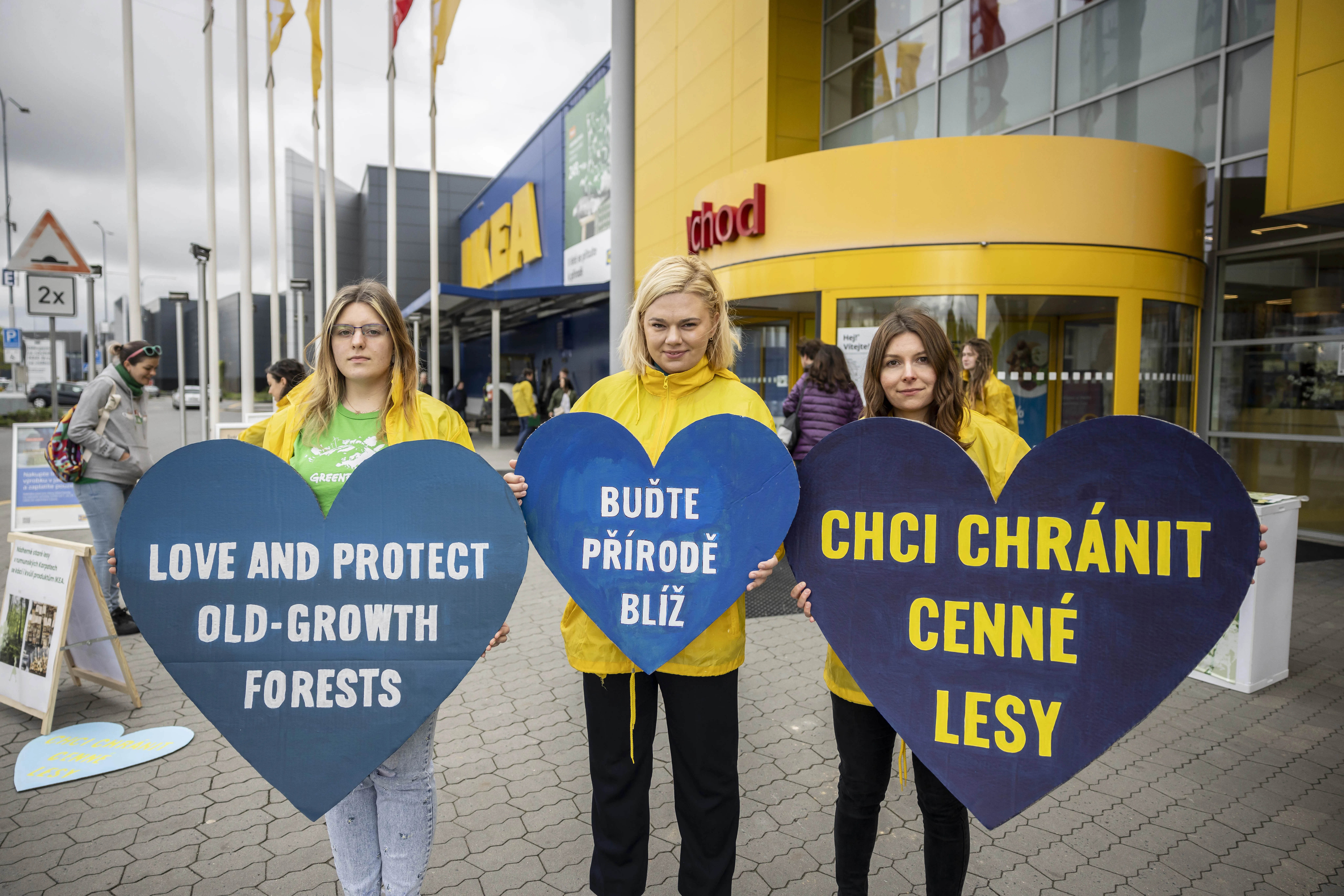 Aktivisté Greenpeace upozorňovali na kácení vzácných starých lesů před obchodem IKEA v Ostravě