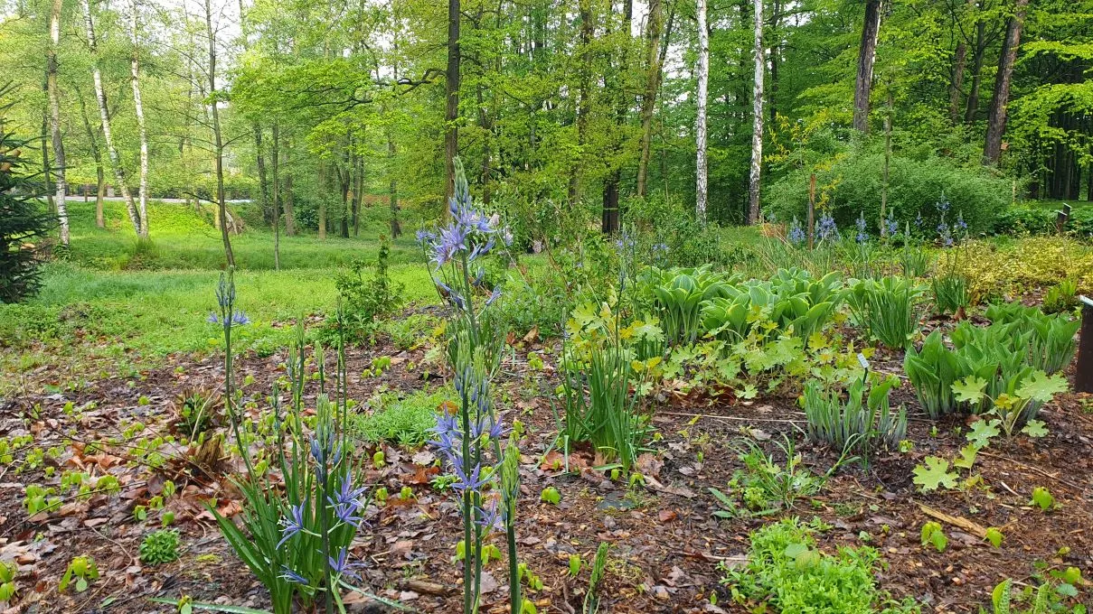 Botanické zajímavosti Zoo Ostrava: Něco modrého k snědku