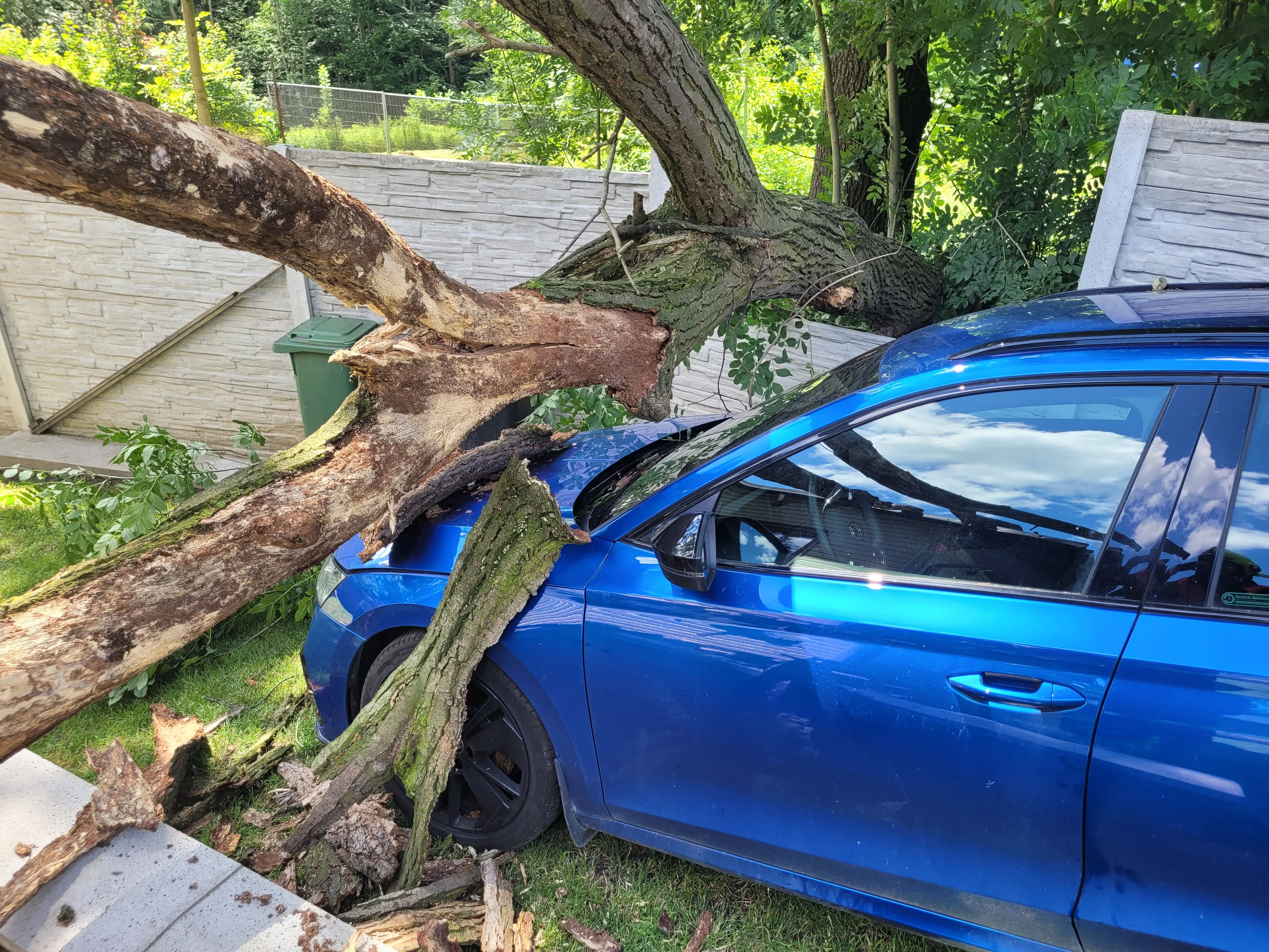 Spadlý strom poškodil auto a dům, pomohli hasiči