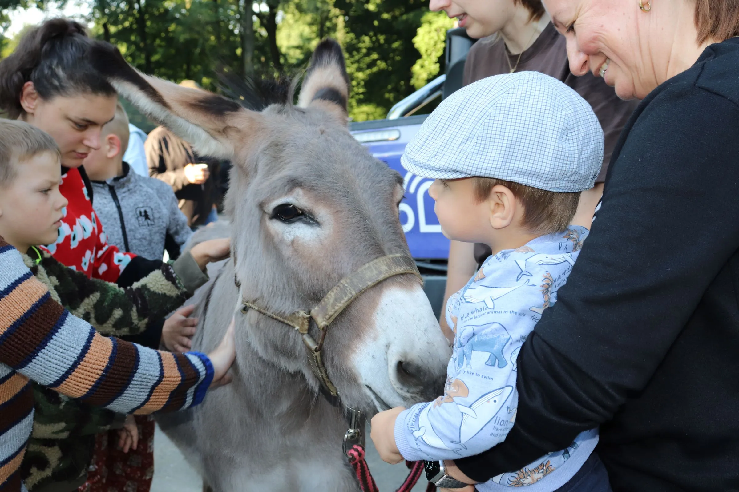 Zoo Ostrava uspořádala Noc snů – speciální večer pro handicapované děti