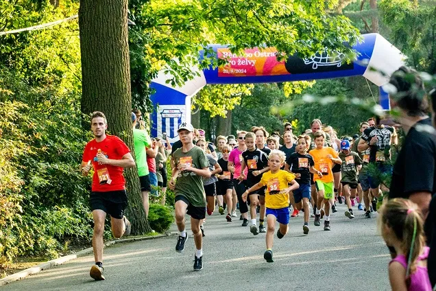 Běžci vyběhali 203 tisíc korun na ochranu želv