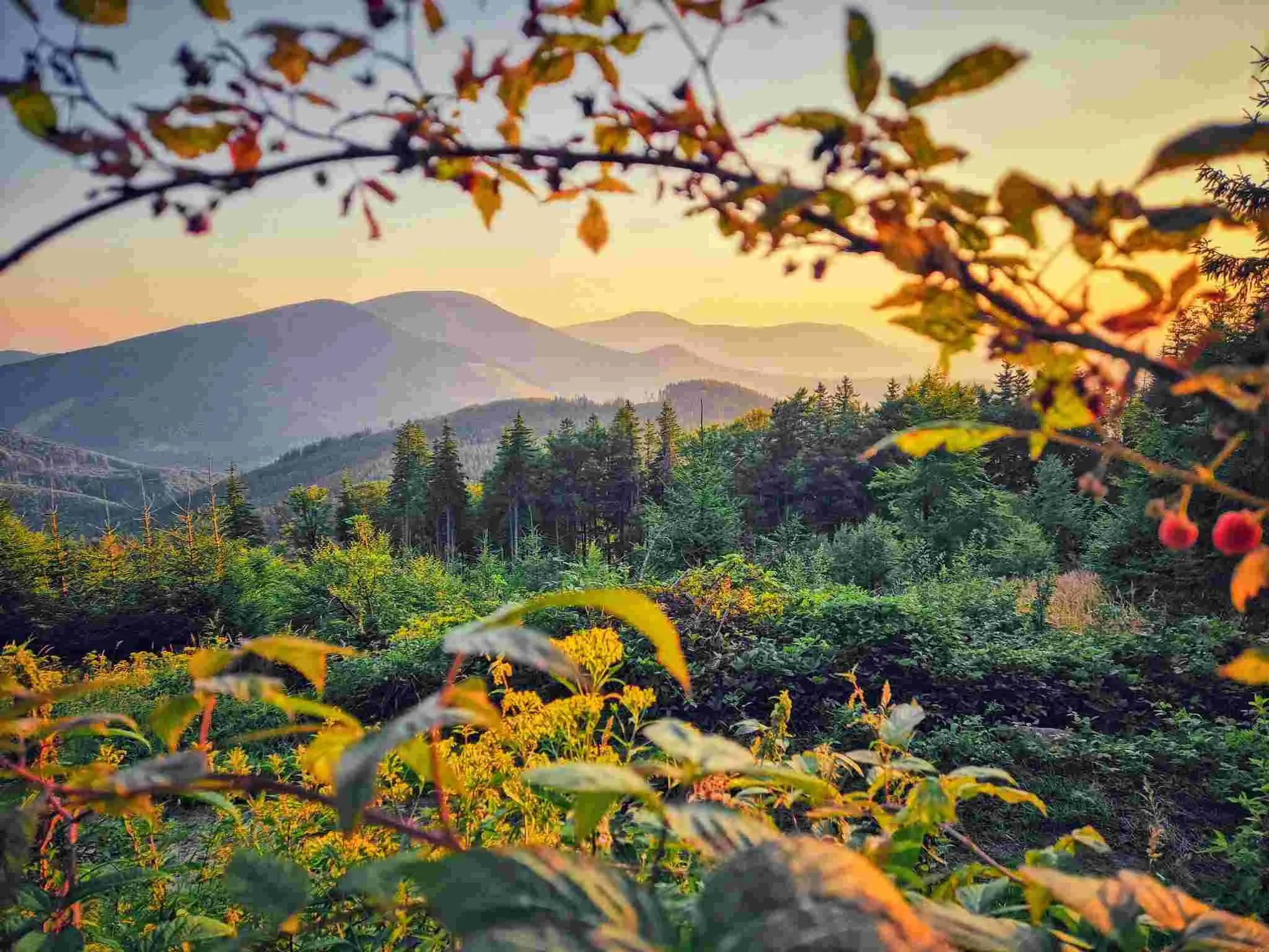 Moravskoslezský kraj si drží oblibu turistů.  Láká na hory, industriální památky a festivaly