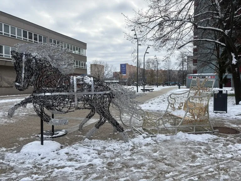 Ulice Jihu se vánočně rozsvítí 1. prosince