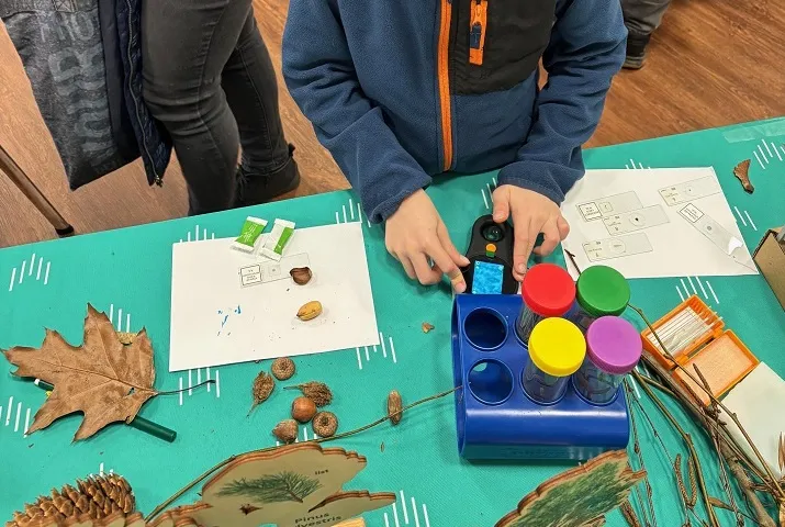 Jarní Mineralogické setkání 2026. Více než 100 vystavovatelů, minerály z celého světa a program pro rodiny